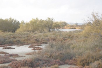 paysage