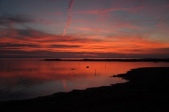 Paysages
