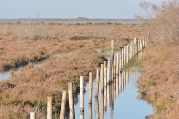 Paysages