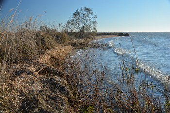 Paysages
