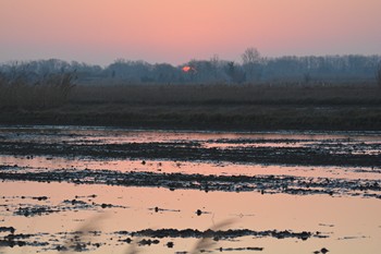 paysages